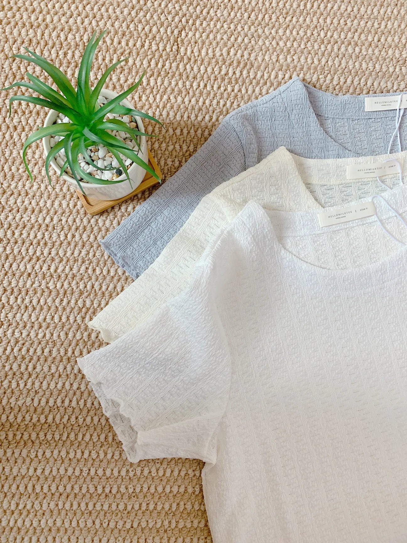 HELLO MILK TEE- 85313 簡約短袖