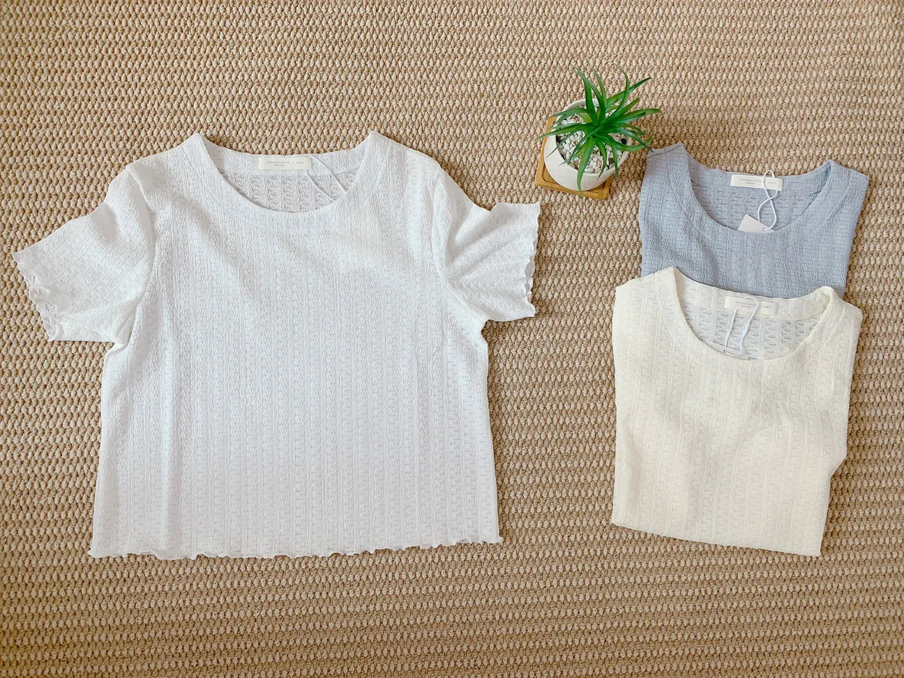 HELLO MILK TEE- 85313 簡約短袖