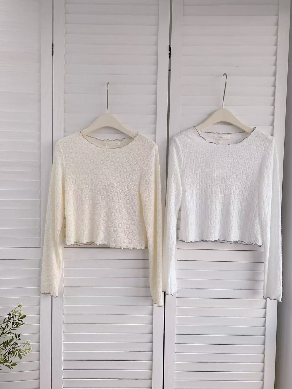 HELLO MILK TEE- 86216 撞色邊小衫