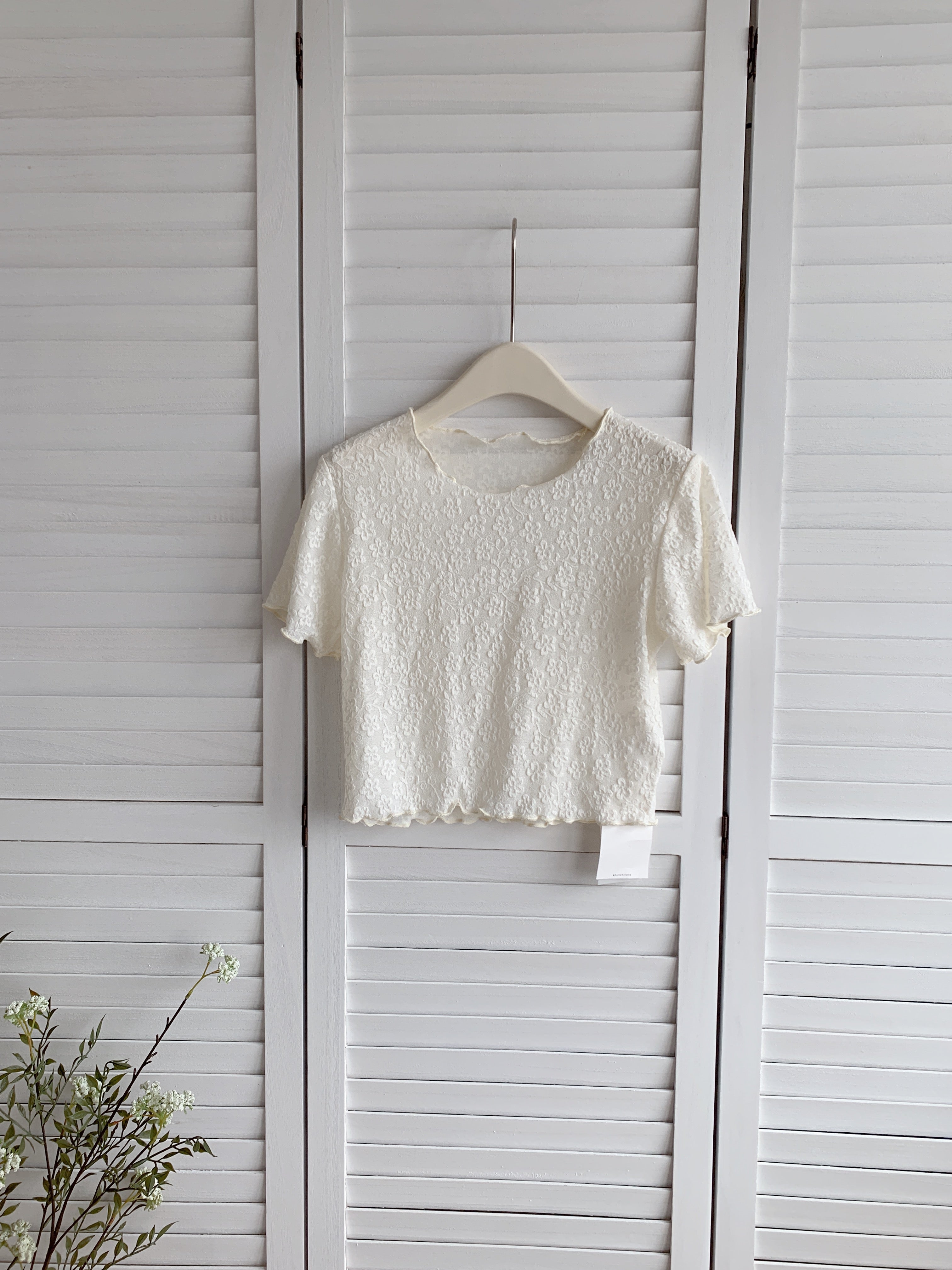 HELLO MILK TEE- 86487  韓系小衫
